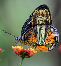 God and Butterflies